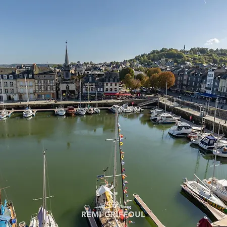 Dolphin View - - Cozy Nest With A View Of The Port *