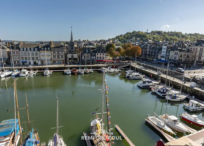 Dolphin View - - Cozy Nest With A View Of The Port *